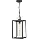 Ellway 1 Light 9 inch Textured Black Outdoor Hanging Lantern